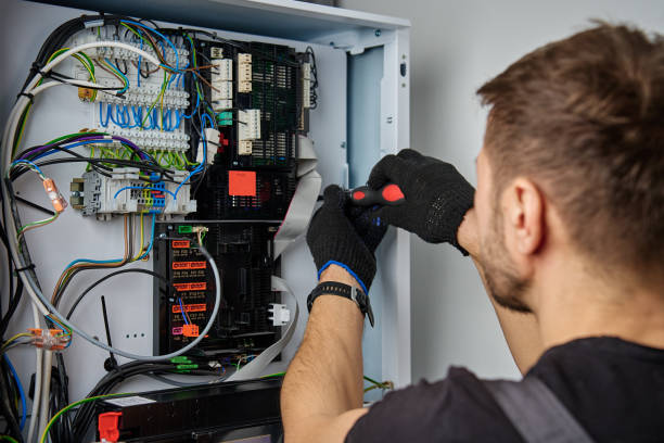 Licensed Electrical Panel Upgrade service in Monroe, MI - No Joke electrician